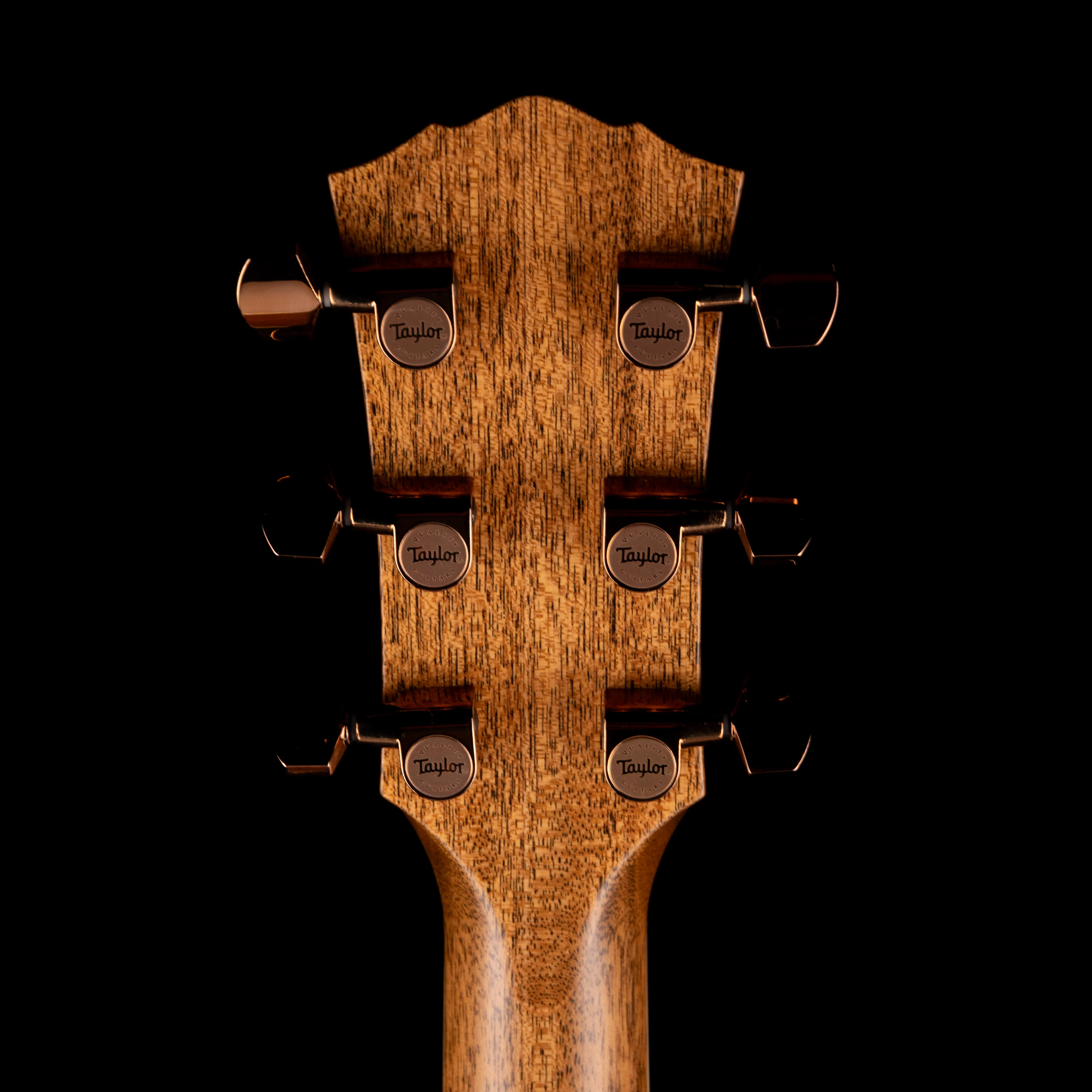 Taylor Truetone Select Gold Label 814e Super Auditorium Black Walnut Amber With Case - Image 14