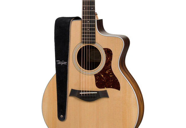 Taylor TS250-06 Taylor Strap Embroidered Suede Black 2.5" - Image 2