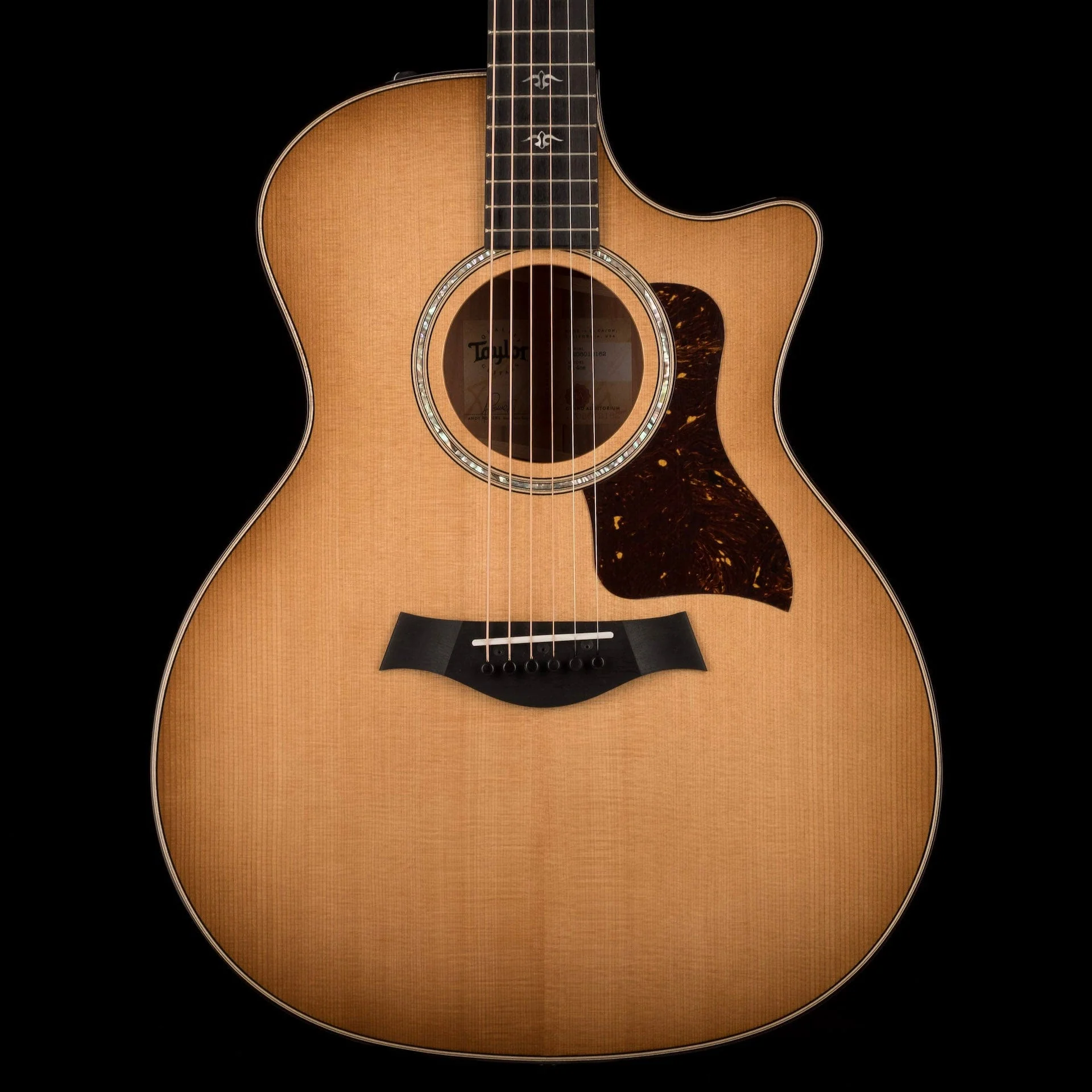 Taylor Urban Ironbark 514ce Acoustic Electric Guitar With Case - Demo