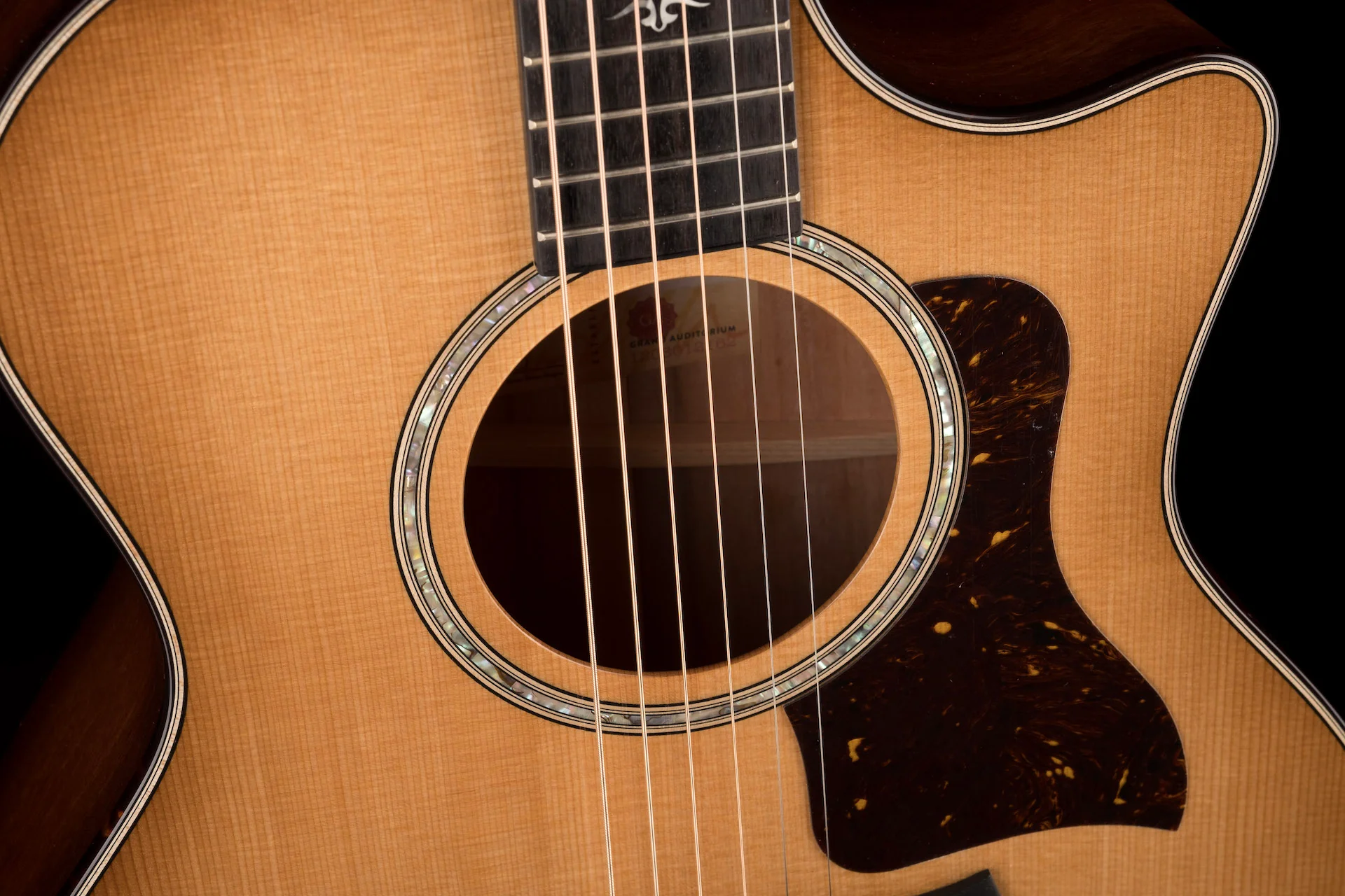Taylor Urban Ironbark 514ce Acoustic Electric Guitar With Case - Demo - Image 8