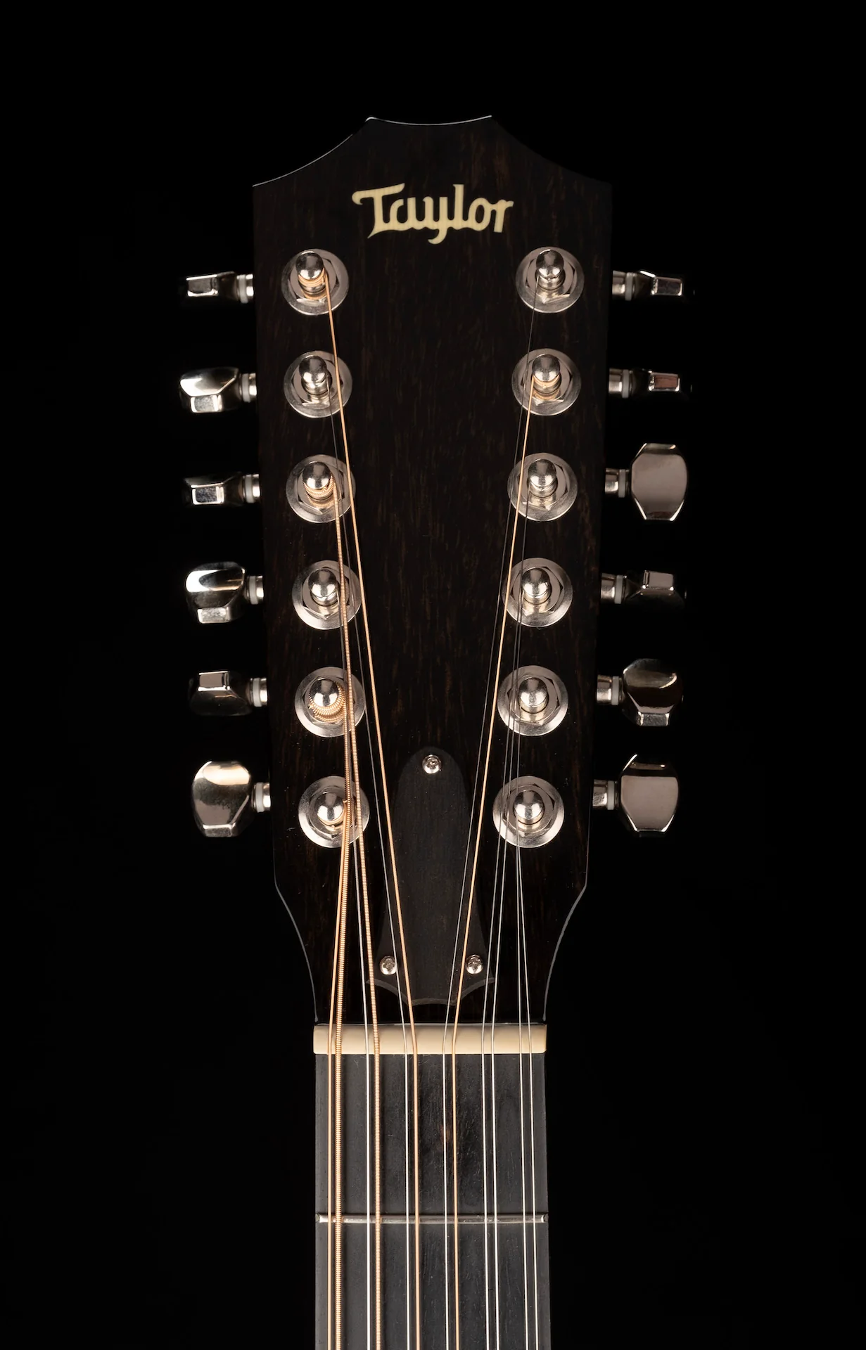 Used Taylor 562CE 12-string Acoustic Guitar With OHSC - Image 10